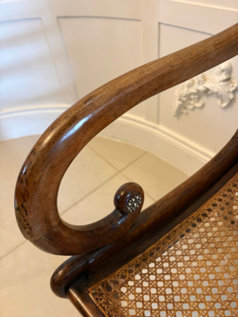 Antique Regency Mahogany Dining Chairs – Set of Six with Cane Seats, Five Singles & One Carver - Image 8